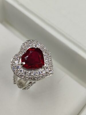 IMG_20241204_160950-min